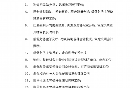 南湖如何避免债务纠纷？专业追讨公司教您应对之策